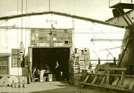 Istoric Neptun transmisii mecanice Romania producator principal