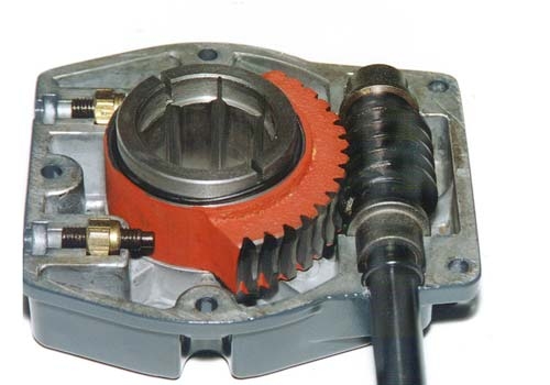 Worm with aluminum housings - range AM - Image 4